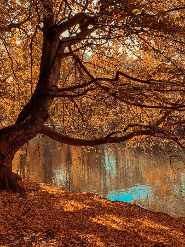 Psychologe Patric Pförtner