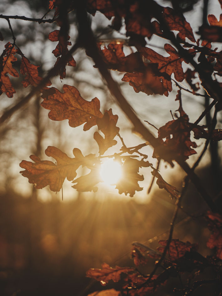 Psychologische Beratung
