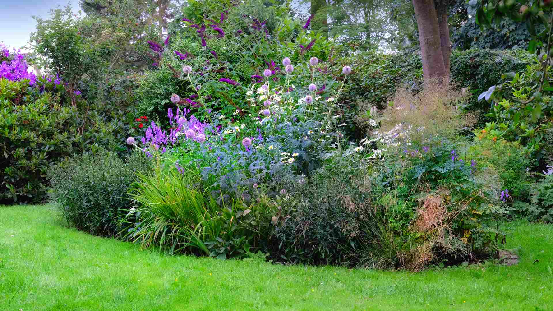 Wenn Ihre Partnerschaft ein Garten wäre, würde es dann so aussehen?